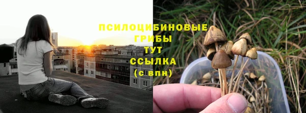 гашик Алзамай