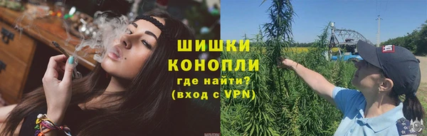 шишки Алексеевка