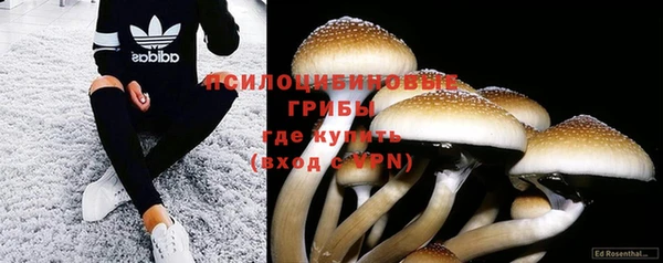шишки Алексеевка