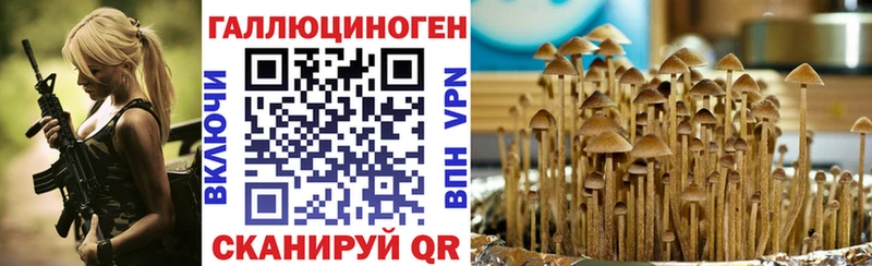 дарнет шоп  Когалым  Псилоцибиновые грибы мицелий 